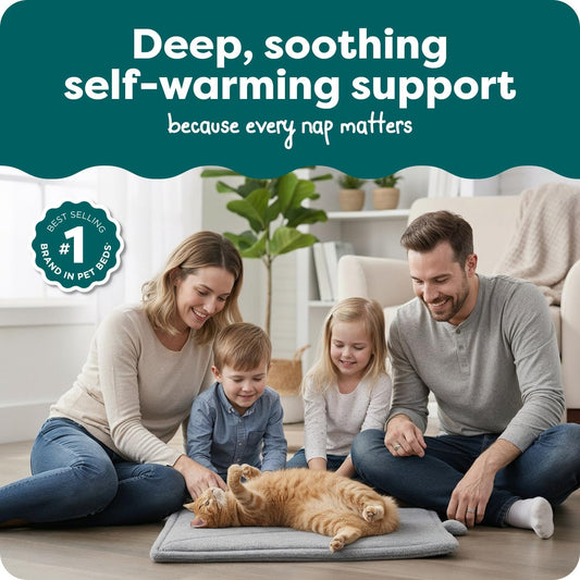 Soft Plush Pet Bed for Cats & Small Dogs - Washable Cozy Cushion