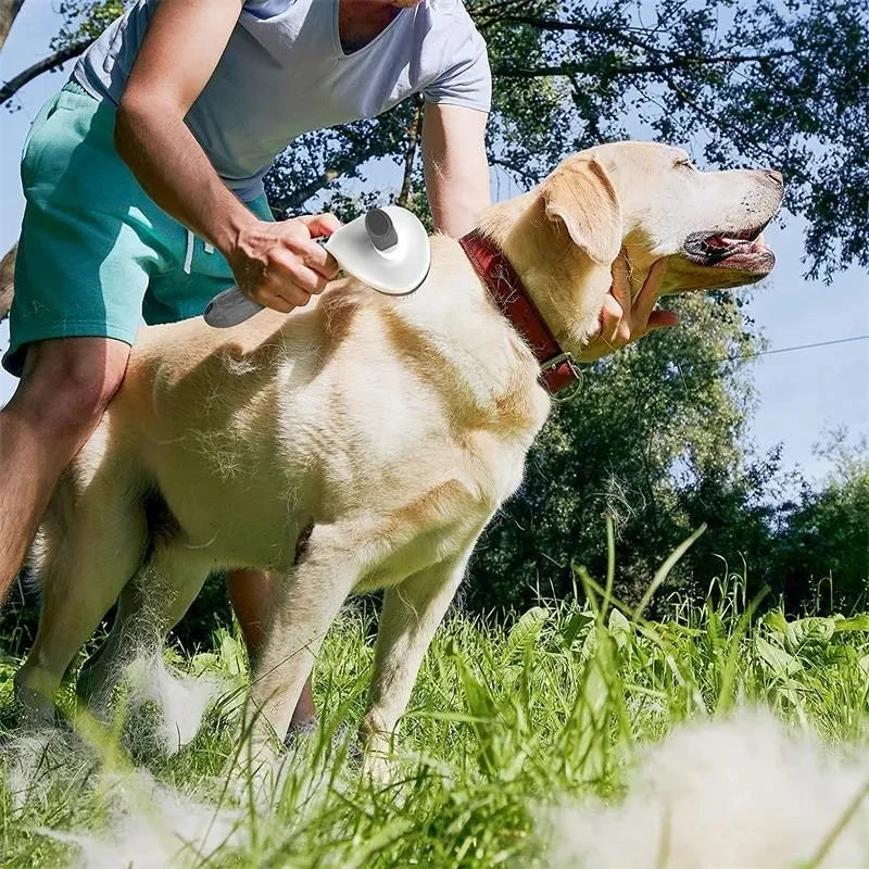 Self-Cleaning Pet Grooming Brush for Dogs & Cats