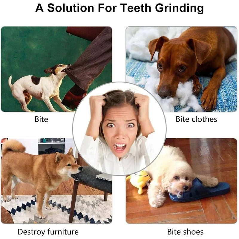 Interactive Treat Dispensing Ball for Dogs